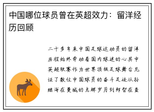 中国哪位球员曾在英超效力：留洋经历回顾